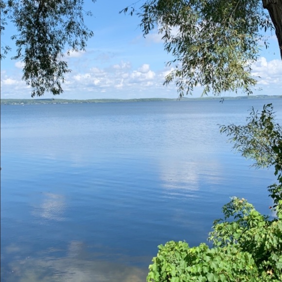 Meet your Posher, Eliza - Picture 1 of 1